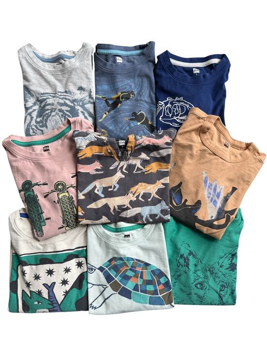 Other - Tea Collection Boys Size 6 Long Sleeve Shirt Lot Cotton Fox Turtle Tiger Fish